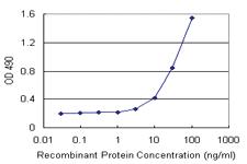 Anti-TNFRSF19 Antibody Pair