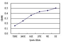 Anti-TRIM25 Antibody Pair