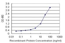 Anti-TNFRSF19 Polyclonal Antibody Pair