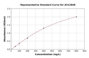 Representative standard curve for Human CCK4 ELISA kit (A312848)