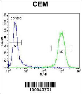 Anti-ATF3 Rabbit Polyclonal Antibody (PE (Phycoerythrin))