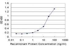 Anti-LAIR1 Mouse Monoclonal Antibody [clone: 2G4]