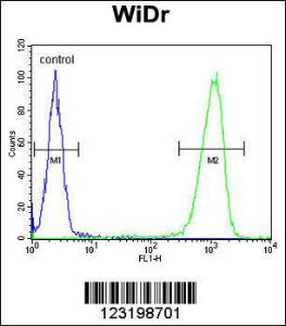 Anti-PEX2 Rabbit Polyclonal Antibody (APC (Allophycocyanin))