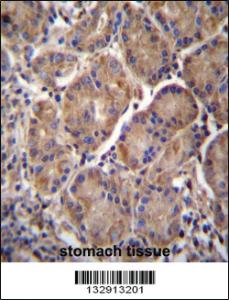 Anti-MMRN2 Rabbit Polyclonal Antibody