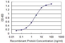 Anti-LALBA Mouse Monoclonal Antibody [clone: 3B3]