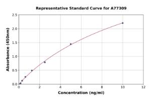 Representative standard curve for Human SESN2/Sestrin-2 ELISA kit (A77309)