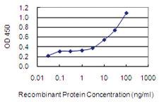 Anti-ZNF37A Mouse Monoclonal Antibody [clone: 4H9]