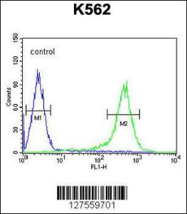 Anti-TMEM132D Rabbit Polyclonal Antibody (Biotin)