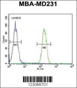 Anti-ARG1 Rabbit Polyclonal Antibody