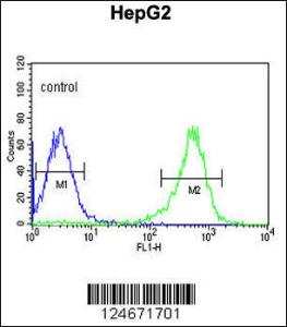 Anti-PYCR1 Rabbit Polyclonal Antibody