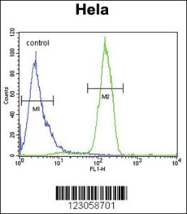 Anti-SKA3 Rabbit Polyclonal Antibody