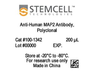 Anti-human MAP2 (MAP-2) antibody, polyclonal