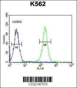 Anti-PAX1 Rabbit Polyclonal Antibody