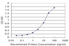 Anti-PPOX Mouse Monoclonal Antibody [clone: 3C10]