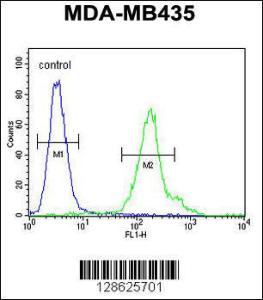 Anti-CU002 Rabbit Polyclonal Antibody