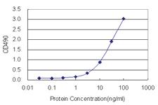 Anti-STX2 Polyclonal Antibody Pair