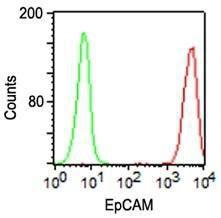 Anti-EpCAM Mouse Monoclonal Antibody [clone: VU-1D9]