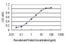 Anti-LAMB3 Mouse Monoclonal Antibody [clone: 2G10]