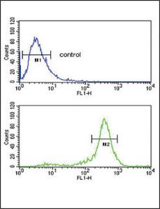 Anti-CALR Rabbit Polyclonal Antibody (APC (Allophycocyanin))