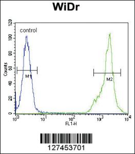 Anti-C4BPA Rabbit Polyclonal Antibody