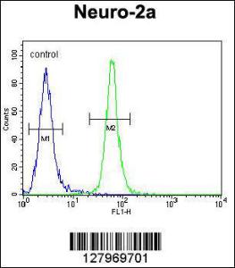 Anti-TMEM65 Rabbit Polyclonal Antibody (AP (Alkaline Phosphatase))