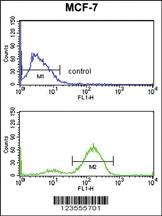 Anti-JUP Rabbit Polyclonal Antibody