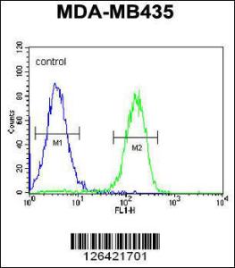 Anti-PYHIN1 Rabbit Polyclonal Antibody