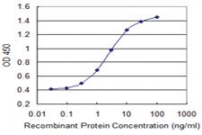 Anti-PPP1R2 Mouse Monoclonal Antibody [clone: 2E9]