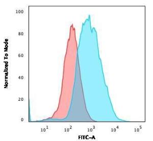 Antibody anti-epcam EGP401372 100 µg