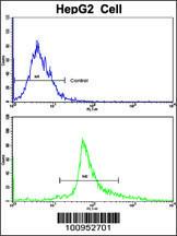 Anti-BAX Rabbit Polyclonal Antibody (APC (Allophycocyanin))