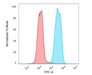 Flow cytometric analysis of PFA fixed MCF-7 cells using Anti-EpCAM Antibody [SPM134] followed by Goat Anti-Mouse IgG (CF&#174; 488) (Blue). Isotype Control (Red).