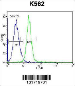 Anti-JAG1 Rabbit Polyclonal Antibody (Biotin)