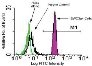 Anti-Monocyte/Granulocyte Mouse Monoclonal Antibody [clone: 74-22-15]