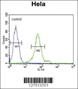 Anti-DDX47 Rabbit Polyclonal Antibody