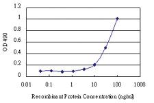 Anti-CSE1L Mouse Monoclonal Antibody (Biotin)