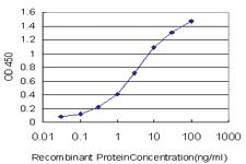 Anti-ZNF124 Mouse Monoclonal Antibody [clone: 4G4]