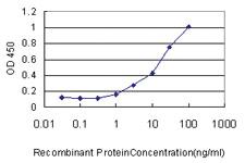 Anti-LRRC8D Mouse Monoclonal Antibody [clone: 3H1-1C2]