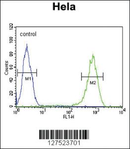 Anti-RRP7A Rabbit Polyclonal Antibody