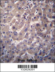 Anti-GGT7 Rabbit Polyclonal Antibody