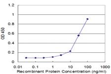 Anti-PPP1R8 Mouse Monoclonal Antibody [clone: 4B5]