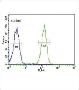 Anti-SLC9A3R1 Rabbit Polyclonal Antibody