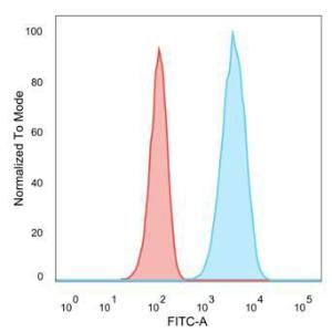 Flow cytometric analysis of human trypsinized MCF-7 cells using Anti-HER2 Antibody [HRB2/451] followed by Goat Anti-Mouse IgG (CF&#174; 488) (Blue). Isotype Control (Red)