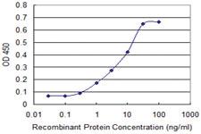 Anti-LCK Mouse Monoclonal Antibody [clone: 3F7-F5]