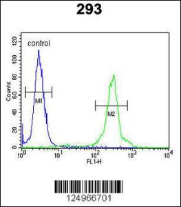 Anti-GL8D2 Rabbit Polyclonal Antibody (FITC (Fluorescein Isothiocyanate))