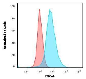 Flow cytometric analysis of human trypsinized SK-BR3 cells using Anti-HER2 Antibody [HRB2/451] followed by Goat Anti-Mouse IgG (CF&#174; 488) (Blue). Isotype Control (Red)