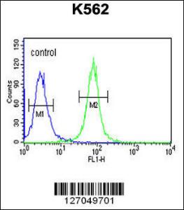 Anti-NPSR1-AS1 Rabbit Polyclonal Antibody (AP (Alkaline Phosphatase))