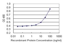 Anti-STAC Polyclonal Antibody Pair