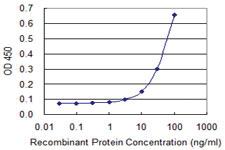 Anti-PPP2R1A Mouse Monoclonal Antibody [clone: 4E6]