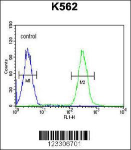 Anti-TNFAIP8 Rabbit Polyclonal Antibody (FITC (Fluorescein Isothiocyanate))