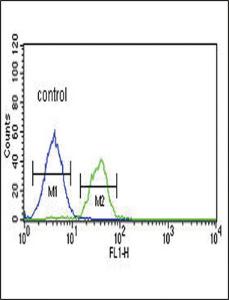 Anti-LRRN3 Rabbit Polyclonal Antibody (Biotin)